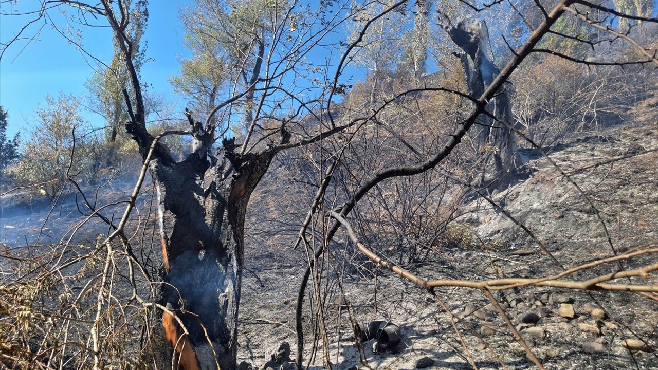 Sivas'ın Hafik ilçesinde otluk yangını ormana sıçradı, kontrol altına alındı