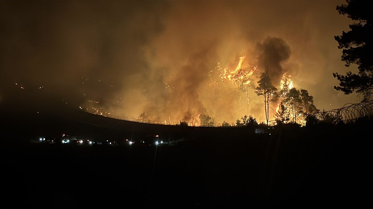 Suriye'nin Lazkiye, Tartus ve Hama illerinde orman yangınları sürüyor