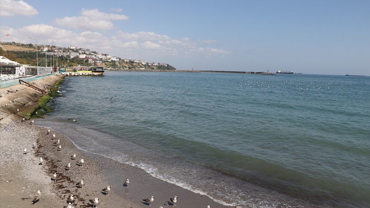 Tekirdağ'da deniz ulaşımı poyrazın dinmesiyle normale döndü