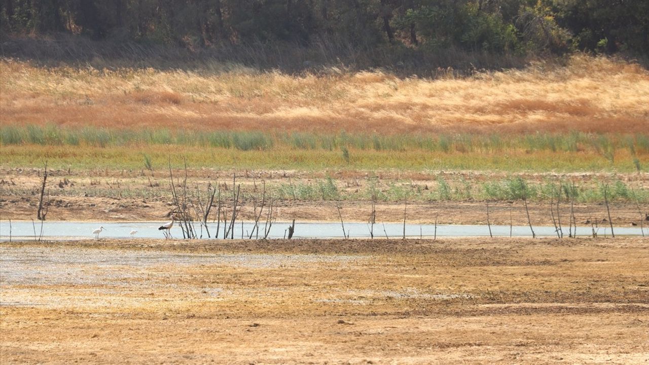 Tekirdağ'da Yazır Göleti'nde su seviyesi kuraklık nedeniyle yüzde 4'e düştü