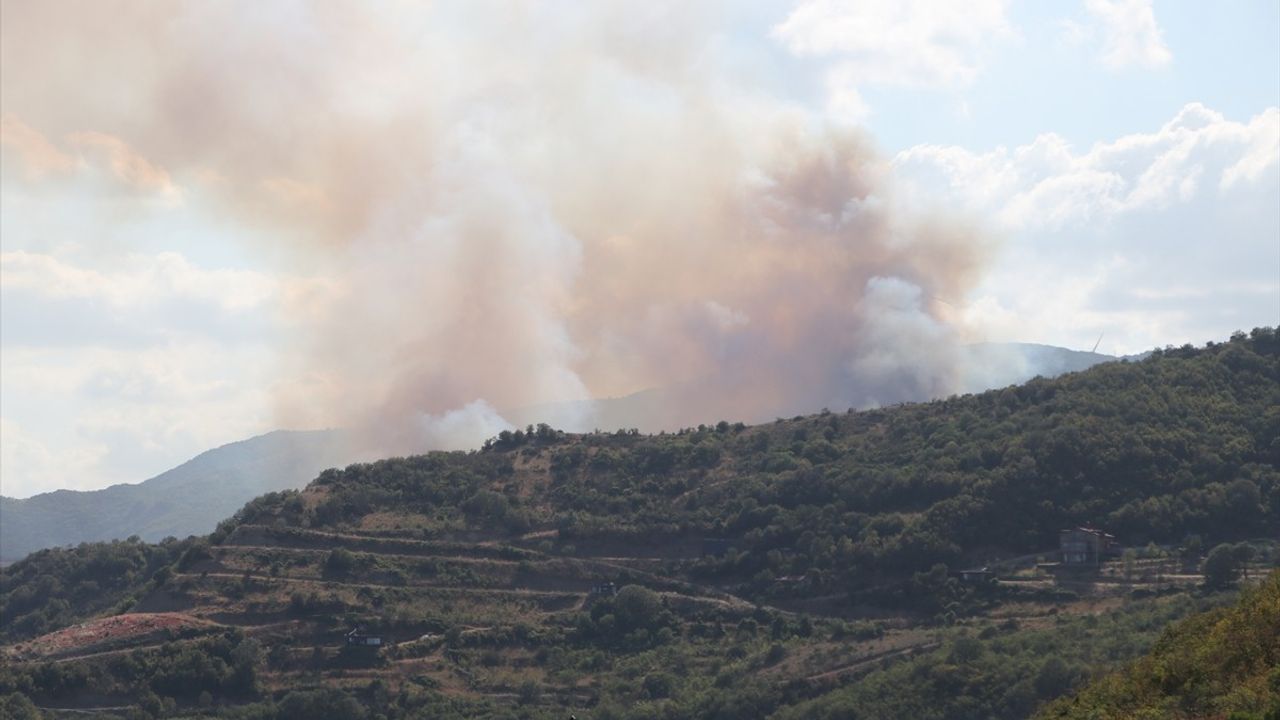 Tekirdağ'ın Şarköy İlçesinde Orman Yangınına Müdahale Ediliyor