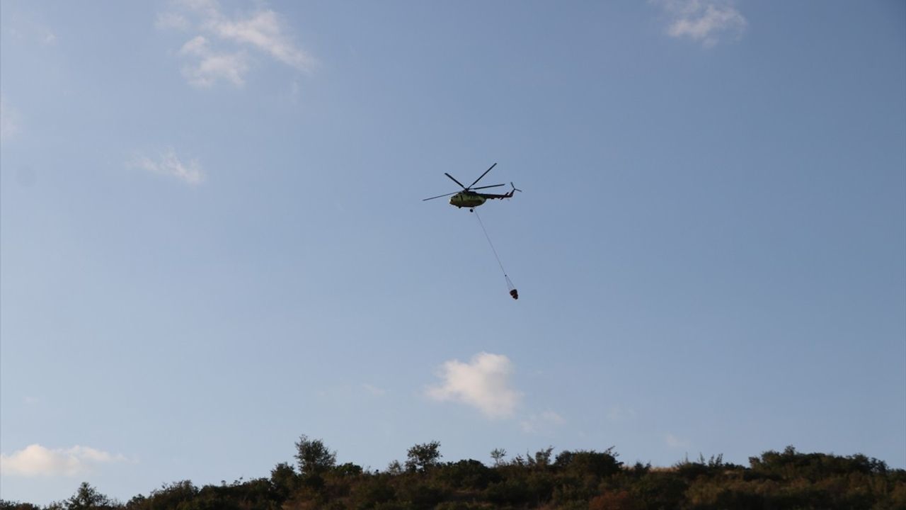 Tekirdağ'ın Şarköy ilçesindeki orman yangını kontrol altına alındı