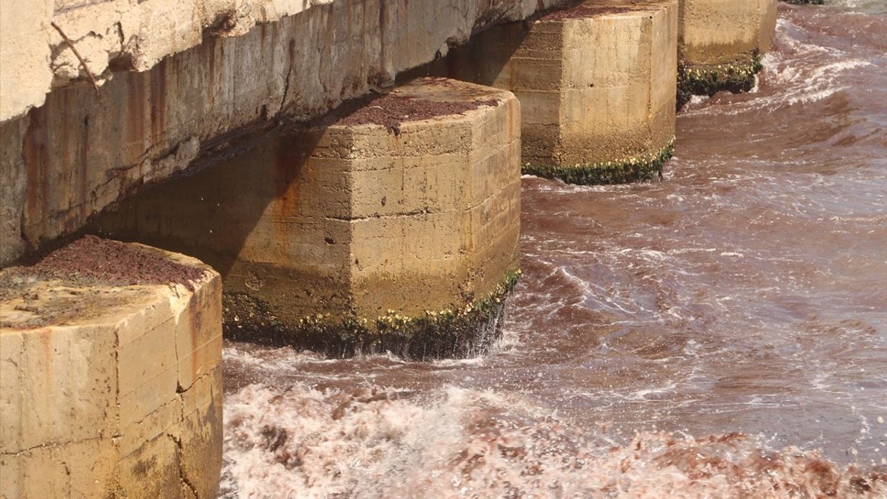 Tekirdağ sahilinde poyraz etkisiyle kırmızı yosun birikimi