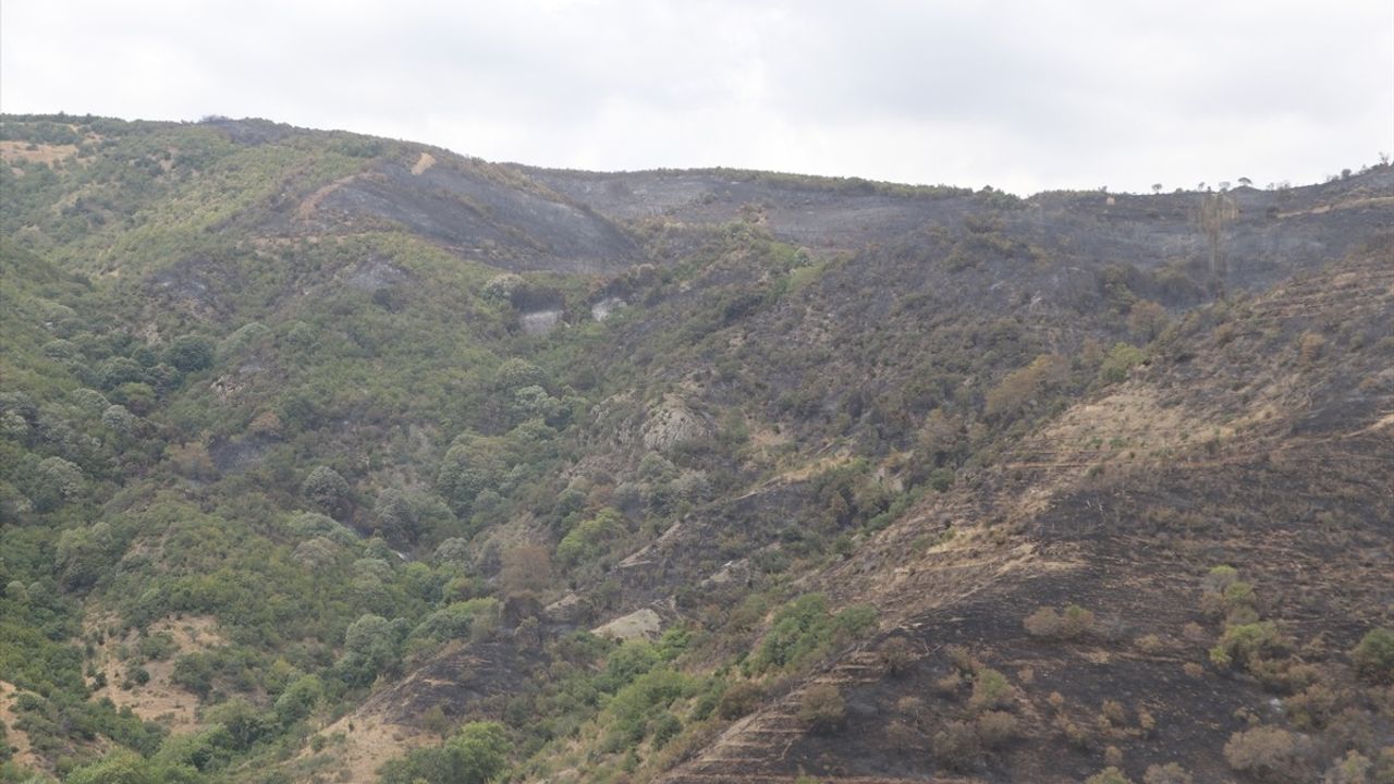 Tekirdağ Şarköy'deki Orman Yangını Soğutuldu