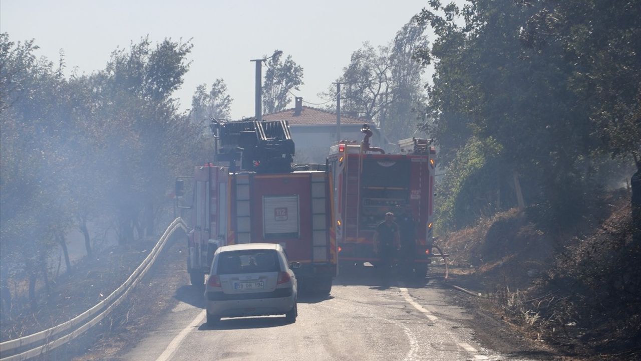 Tekirdağ Süleymanpaşa'da anız yangını ağaçlık alana sıçradı, söndürüldü