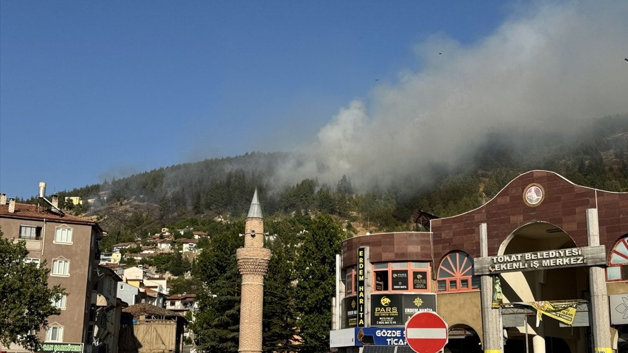 Tokat'ta Gıjgıj Tepesi'ndeki orman yangını kontrol altına alındı