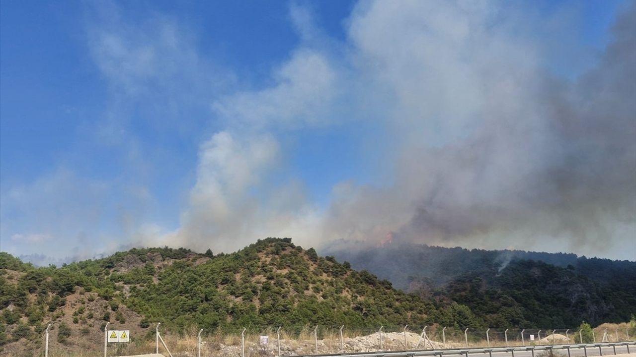 Tokat'taki Orman Yangını ile İlgili Gözaltı Süreci Başladı