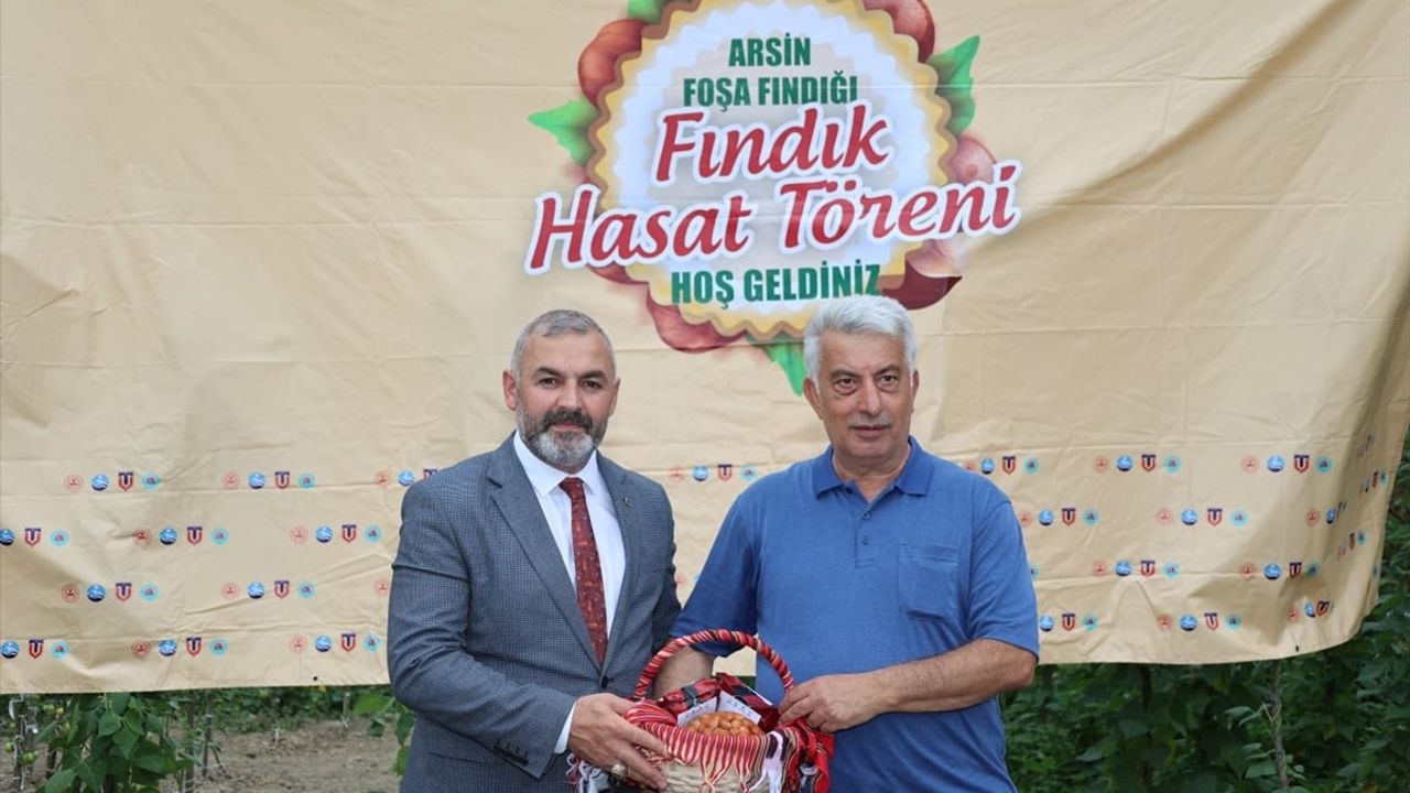Trabzon'da Coğrafi İşaretli 'Arsin Foşa Fındığı' Hasadı Başladı