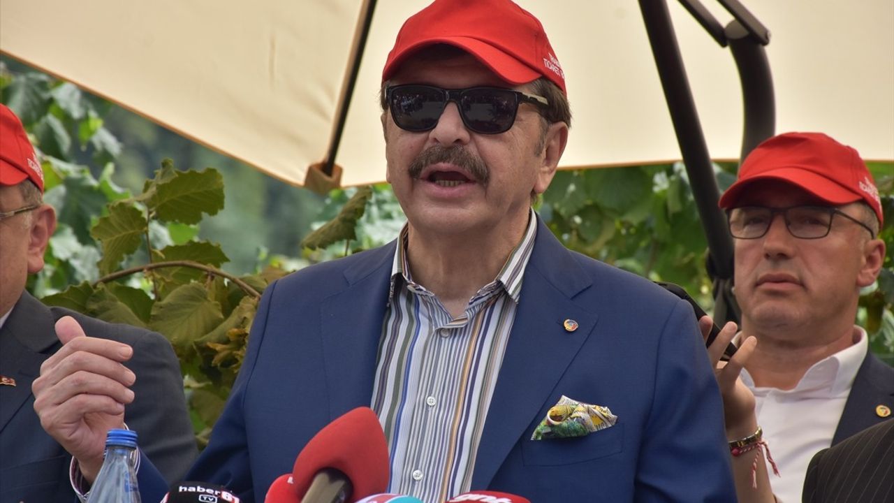 Trabzon'da Fındık Hasat Şenliği Düzenlendi