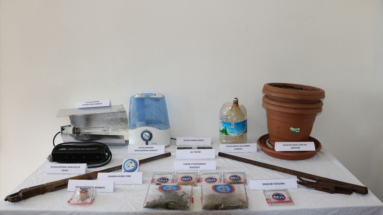 Tunceli'de evinde kenevir yetiştirdiği belirlenen zanlı gözaltına alındı