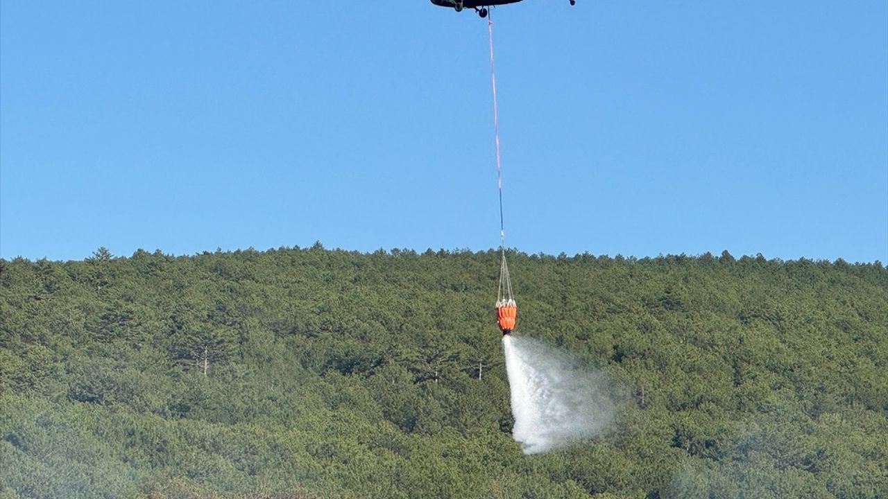 Uşak'ta Banaz ilçesindeki orman yangını kontrol altına alındı