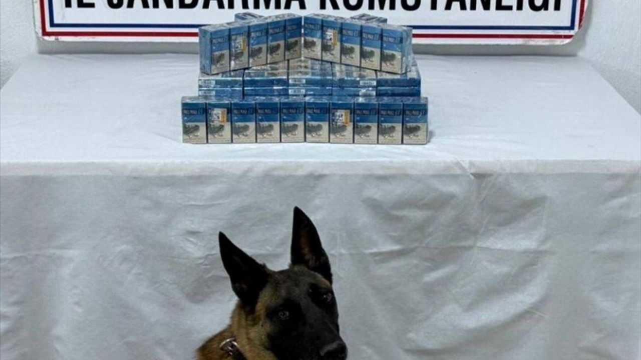 Van'da Kaçakçılık Operasyonlarında 43 Şüpheli Gözaltına Alındı