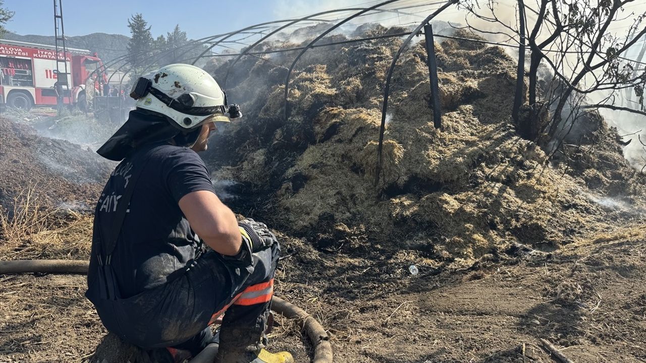 Yalova'da dört ayrı noktada çıkan arazi yangınları kontrol altına alındı