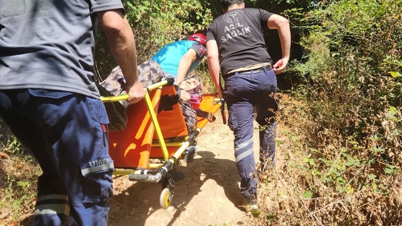 Yalova'da Ormanlık Alanda Rahatsızlanan Kadın Hastaneye Kaldırıldı