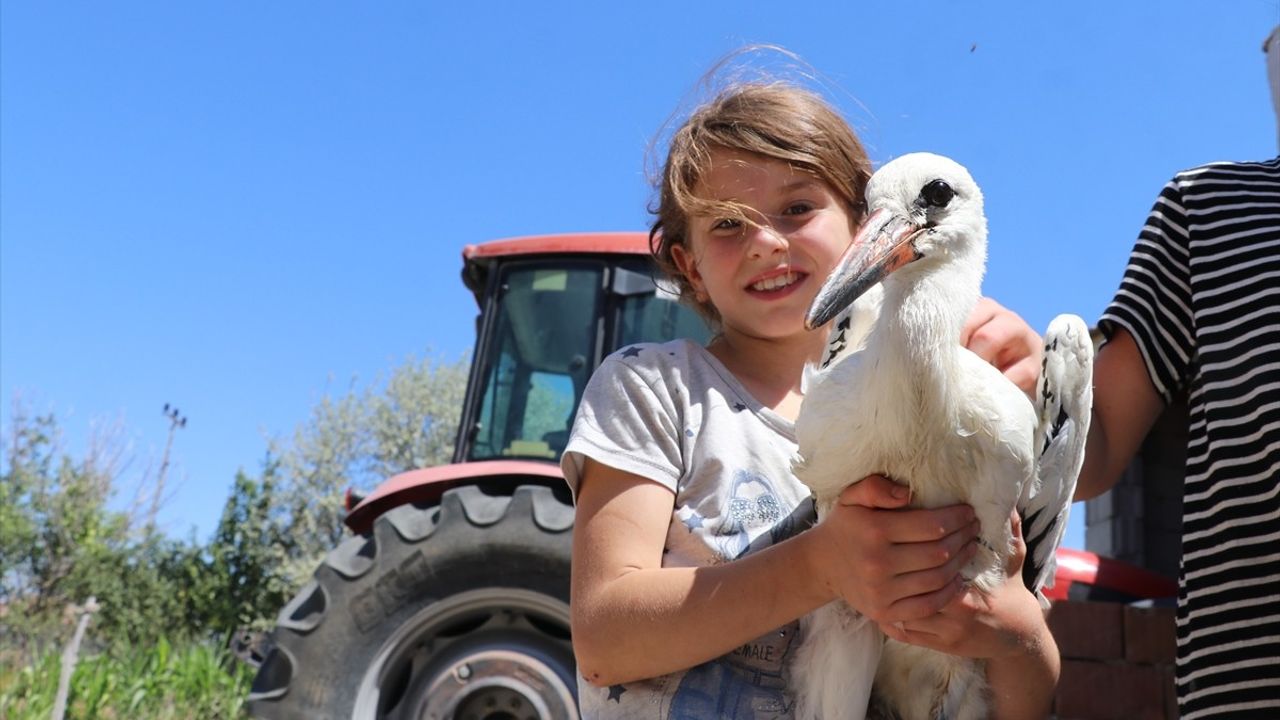 Yozgatlı Ailenin Sahiplendiği Yaralı Leylek 'Su', Jandarma Ekiplerine Teslim Edildi