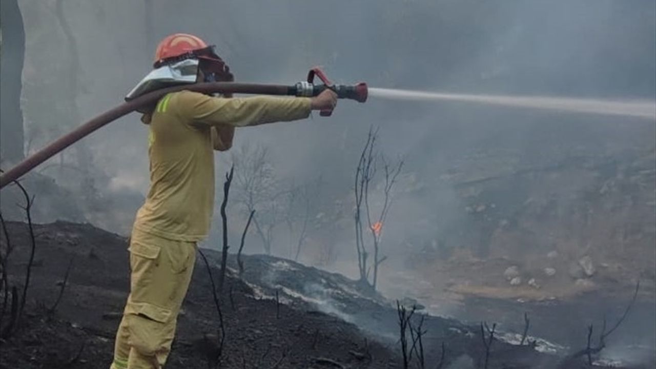 Adana Sarıçam'da orman yangını kontrol altına alındı