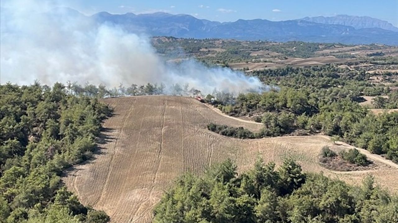 Adana Sarıçam'da orman yangını: Turunçlu Mahallesi'nde havadan ve karadan müdahale sürüyor