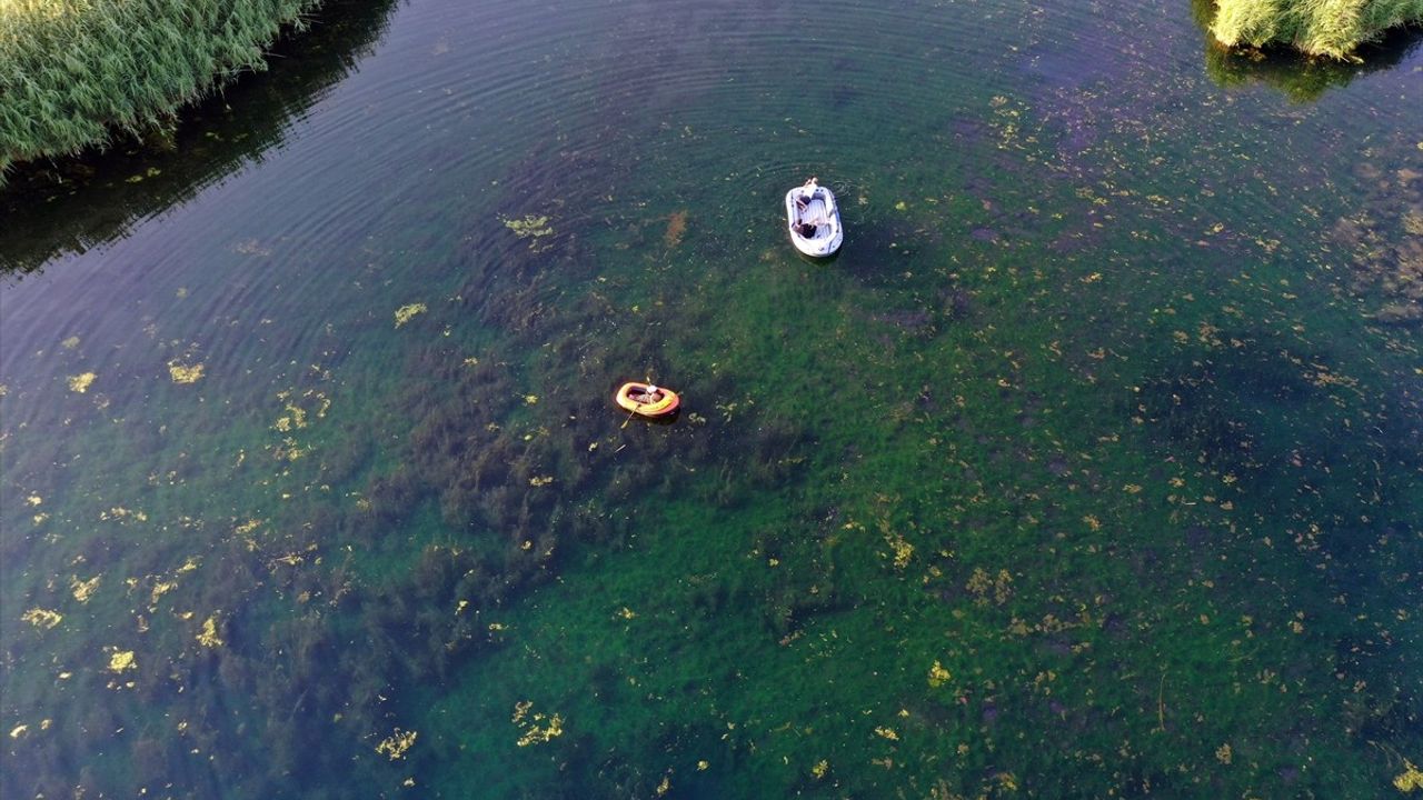 Ağrı Dağı eteklerindeki Karasu Sulak Alanı ötrofikasyon nedeniyle bataklıklaşma riski taşıyor