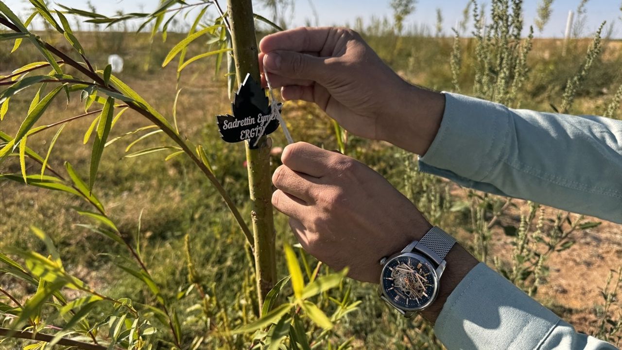 Aksaray'da imam hatip Hasan Hüseyin Altan, su projesiyle köye 700 fidanlık orman kazandırdı