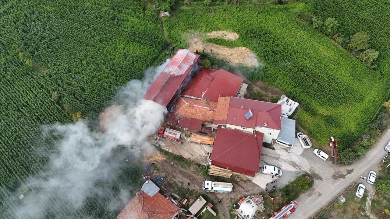 Alaçam'da samanlık yangını itfaiye ekiplerince söndürüldü