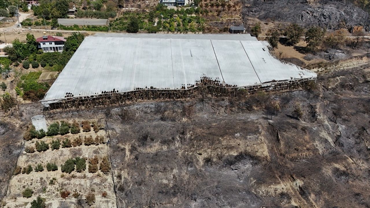 Alanya'da orman yangını hasarı havadan görüntülendi