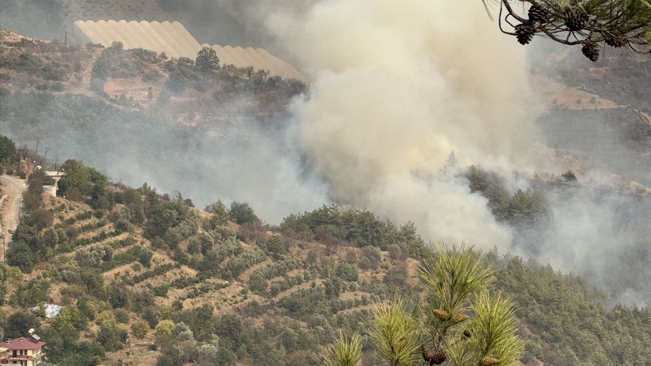Alanya'da orman yangınlarına müdahale sürüyor; Aliefendi yangını kontrol altına alındı