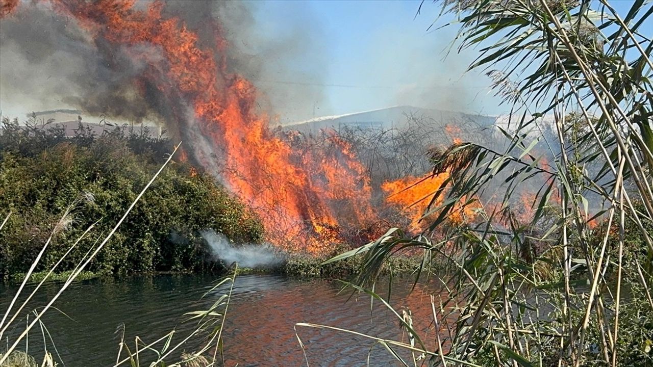 Antalya'da Düden Çayı kıyısındaki sazlık alanda çıkan yangın söndürüldü