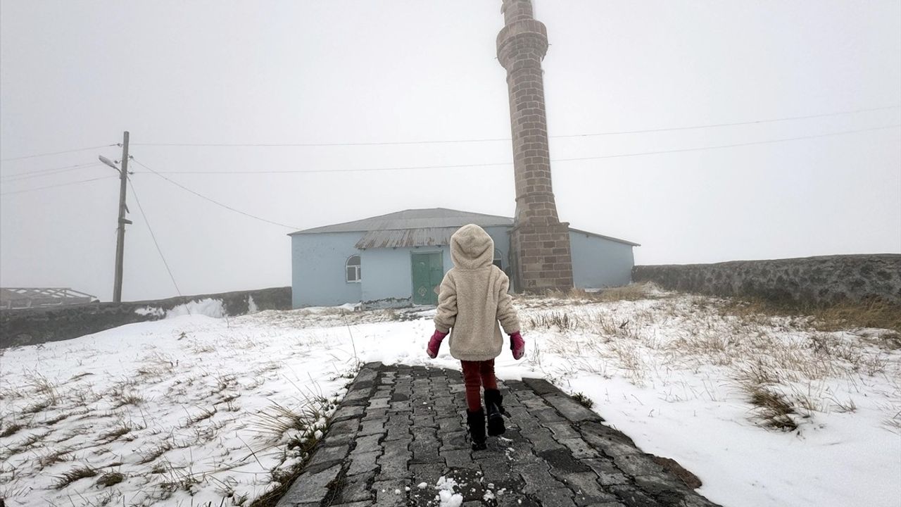 Ardahan ve Kars'ın yüksek kesimlerinde kar ve sis etkili