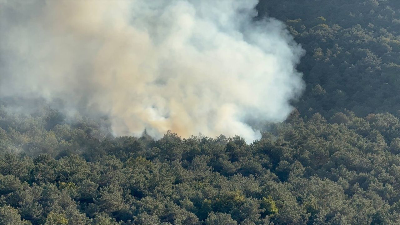 Ataşehir'de Kayışdağı Ferhatpaşa yakınlarındaki orman yangını itfaiye tarafından söndürüldü