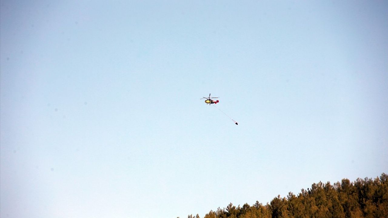 Aydın Çine'de çıkan orman yangını kontrol altına alındı