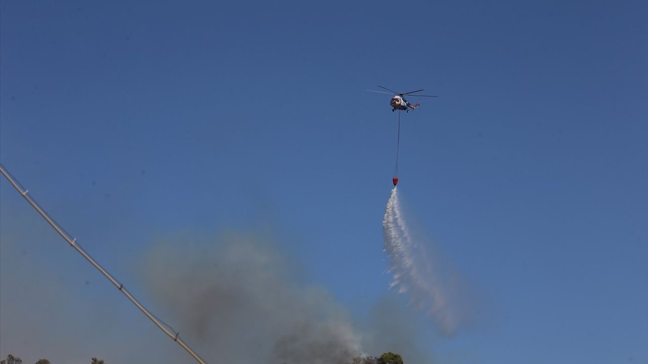 Aydın Efeler'de zeytinlik ve orman yangını: Havadan ve karadan müdahale sürüyor