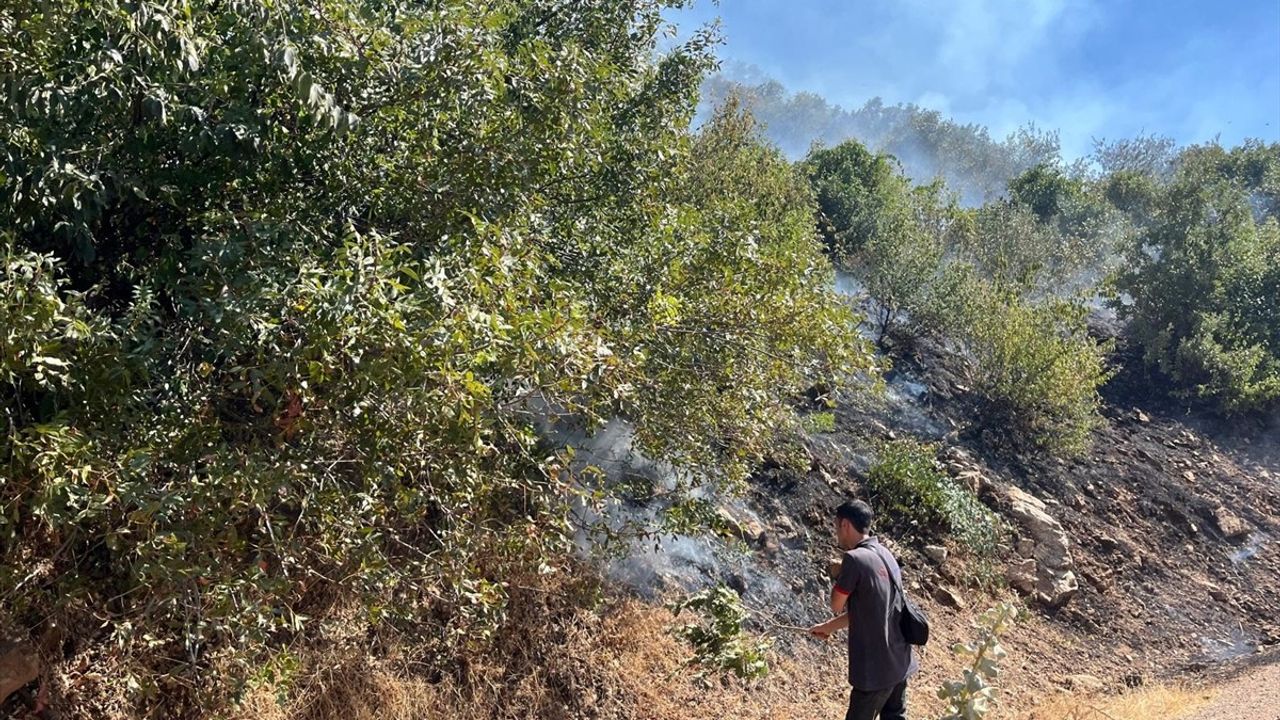 Aydın Kuyucak'ta makilik yangını kontrol altına alındı — 4 hektar zarar gördü