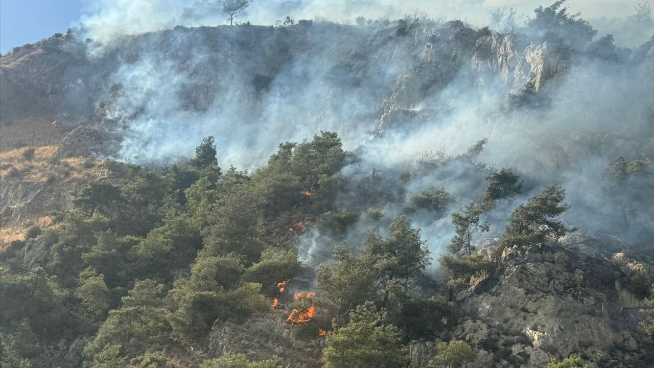 Aydın Söke'de orman yangını: Sazlı Mahallesi'nde havadan ve karadan müdahale sürüyor