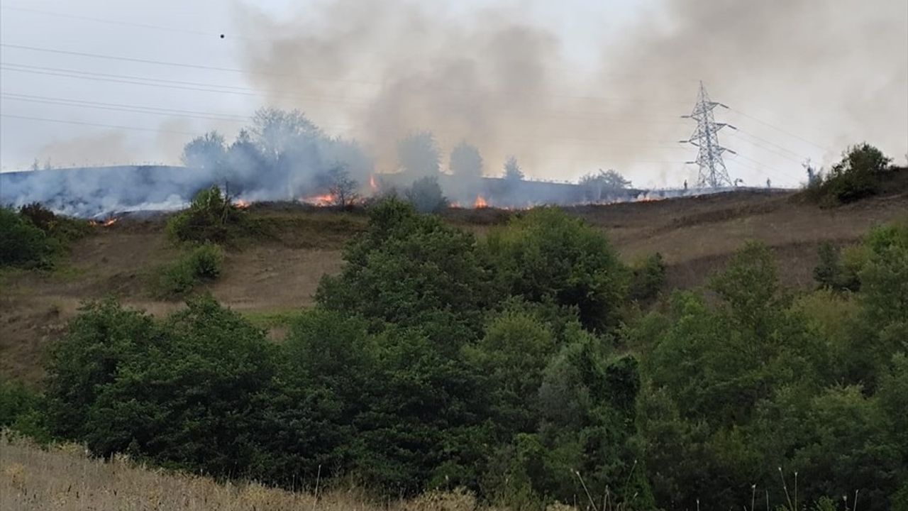 Bafra'da örtü yangını: Asar Mahallesi'nde 150 dekar zarar gördü