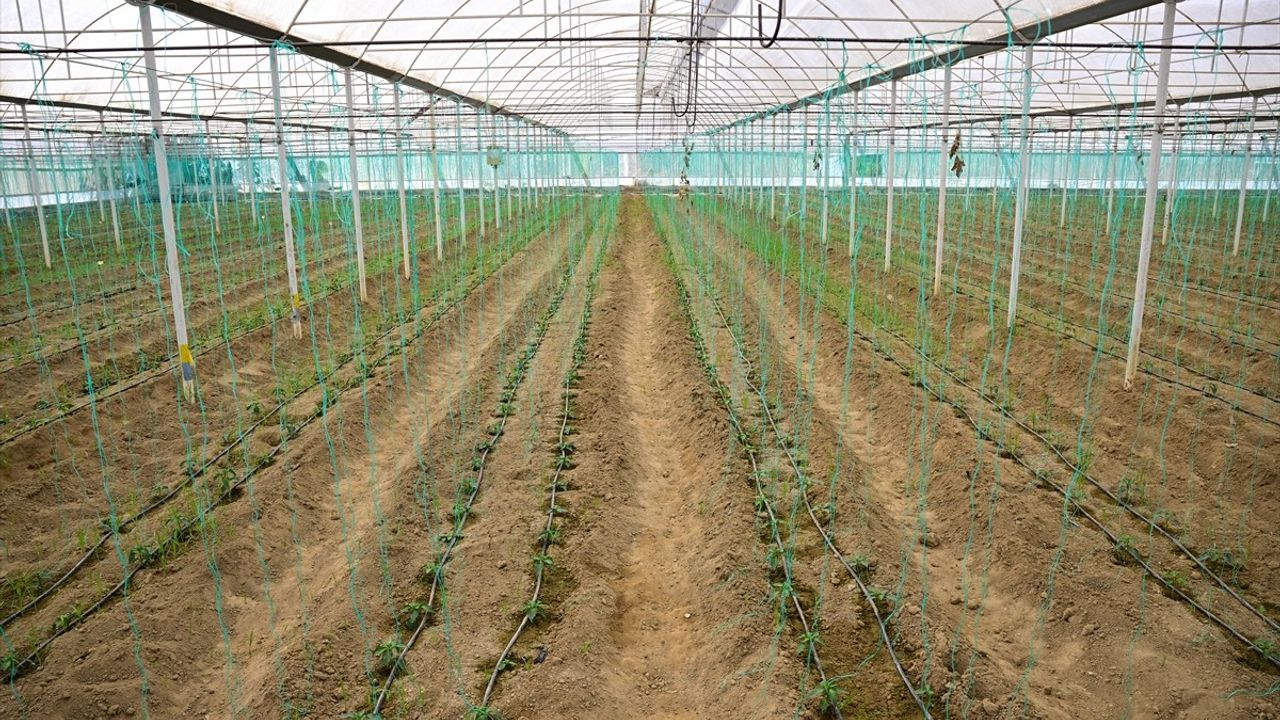 BAİB: Batı Akdeniz hububat, bakliyat ve yağlı tohum ihracatı 8 ayda yüzde 136,65 arttı