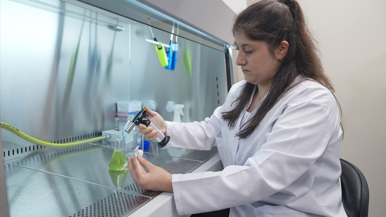 Balık Yetiştiriciliği Atıkları Mikroalg Üretimine Dönüştürülerek Deniz Kirliliği Azaltılıyor