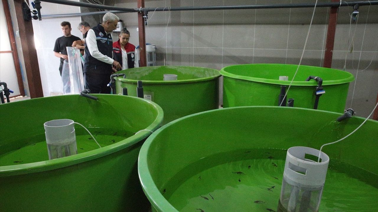 Balıkçılık ve Su Ürünleri Genel Müdürü Turgay Türkyılmaz Bolu Gölköy Tesisi'ni İnceledi