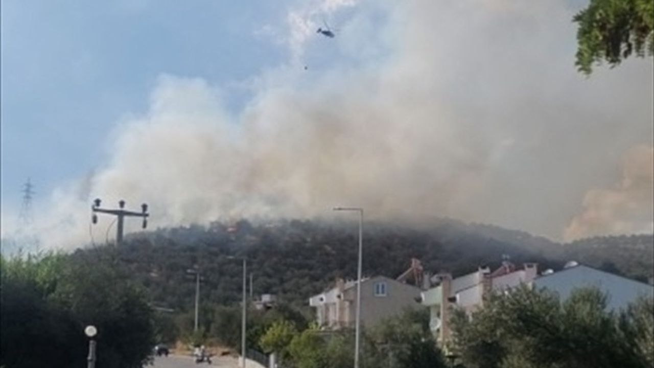 Balıkesir'in Edremit ilçesinde makilik yangını kontrol altına alındı