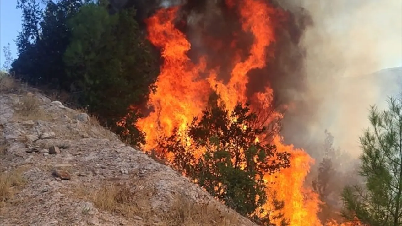 Balıkesir Sındırgı Binmurt'ta orman yangınına havadan ve karadan müdahale sürüyor