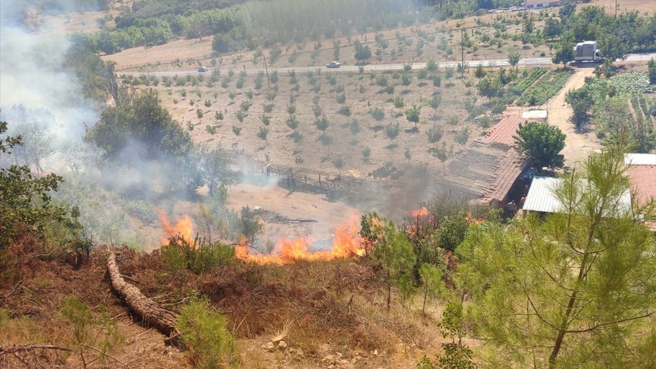 Balıkesir Sındırgı Binmurt'taki orman yangını kontrol altına alındı