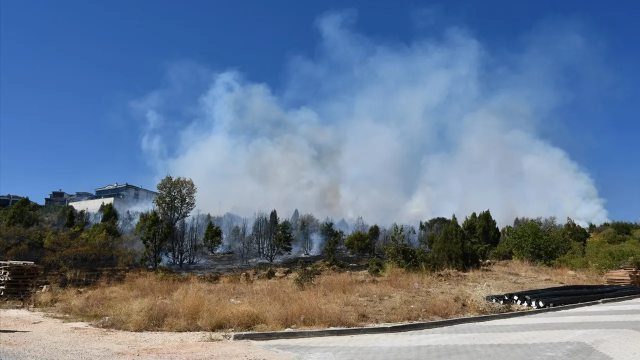 Bilecik'te ağaçlık arazide çıkan yangın havadan ve karadan müdahaleyle kontrol altına alındı