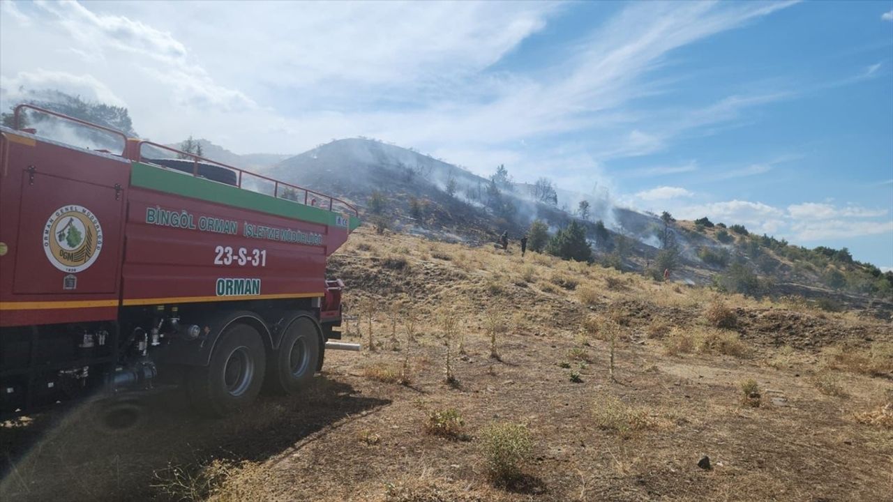 Bingöl'ün Genç ilçesi Çamlıyurt'ta örtü yangını kontrol altına alındı