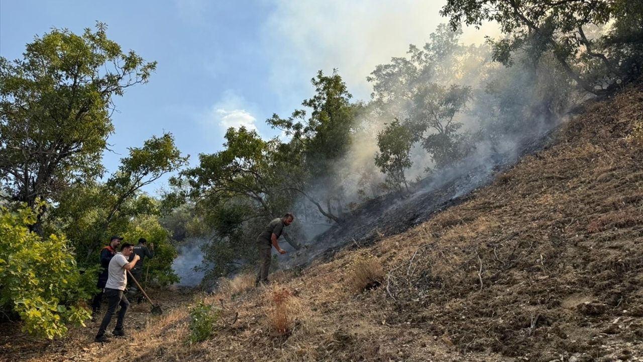 Bingöl'ün Genç ilçesinde orman yangınına havadan ve karadan müdahale