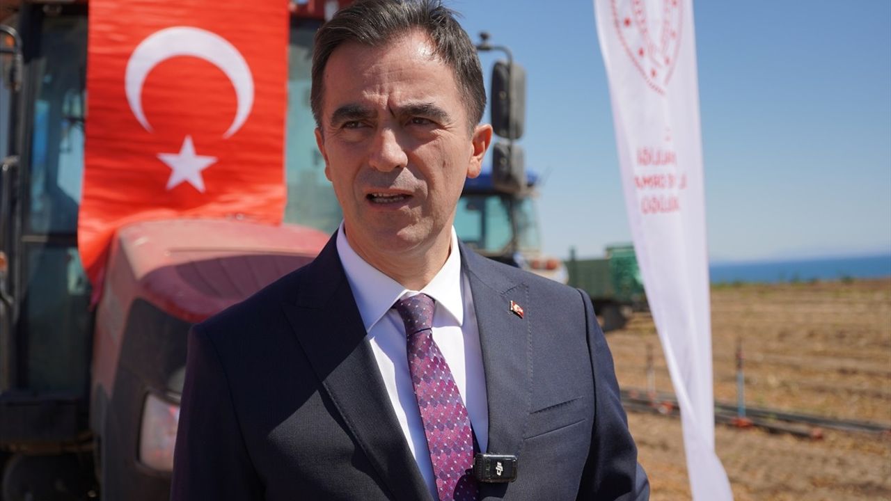 Bitlis'te kuru fasulye hasadı başladı — 110 bin dekarda 37 bin ton üretim