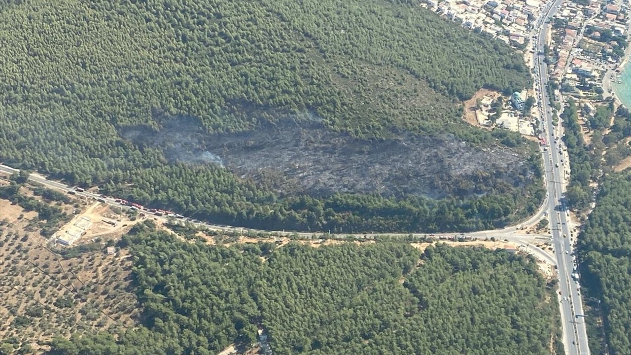 Bodrum Güvercinlik Mahallesi'ndeki orman yangını kontrol altına alındı