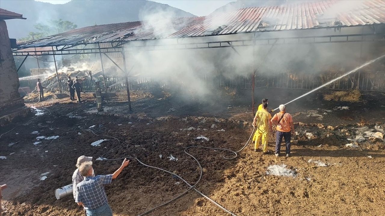 Burdur Yeşilova'da ahır yangını: 2 inek ve 2 buzağı telef oldu, 2 bin 500 saman balyası yandı