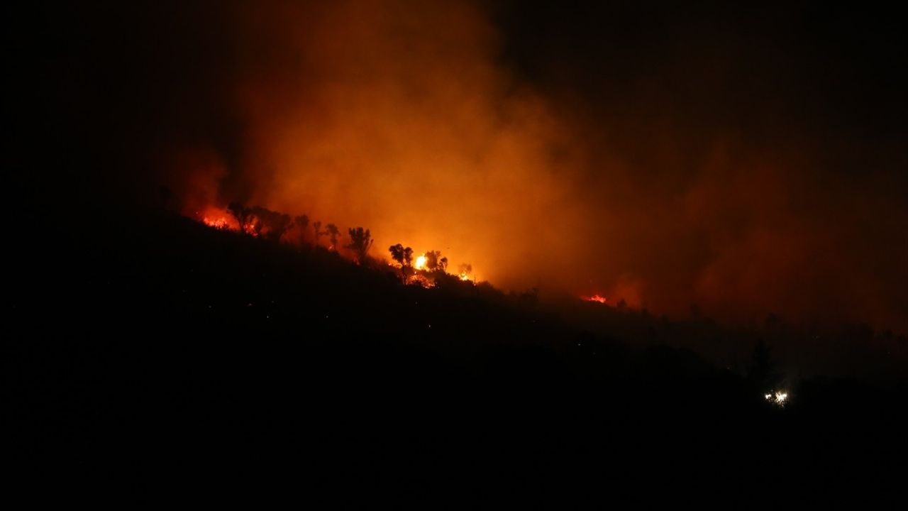 Bursa Karacabey'de Orman Yangını Kısmen Kontrol Altına Alındı