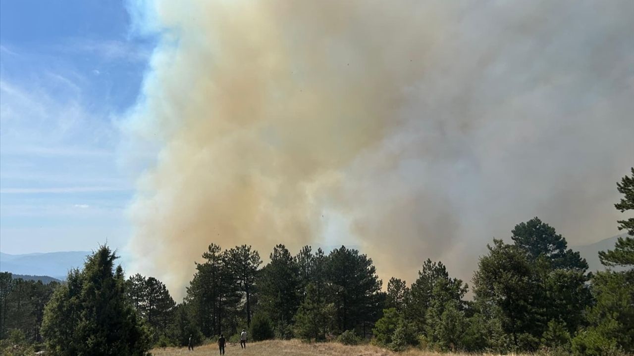 Bursa Orhaneli'de orman yangını: Göynükbelen yakınlarında havadan ve karadan müdahale sürüyor