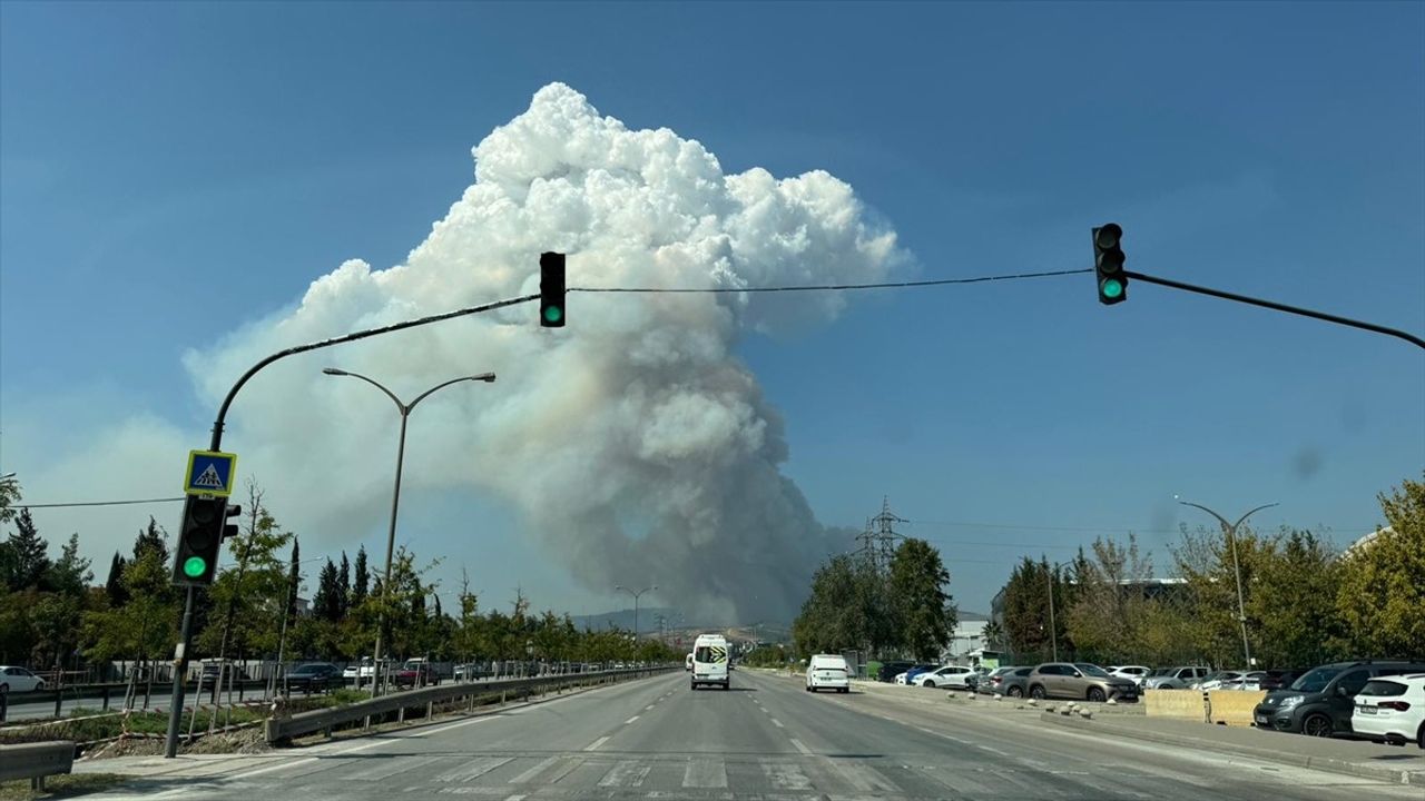 Bursa Osmangazi'de orman yangını: Gündoğdu ile Ovaakça arasında müdahale sürüyor