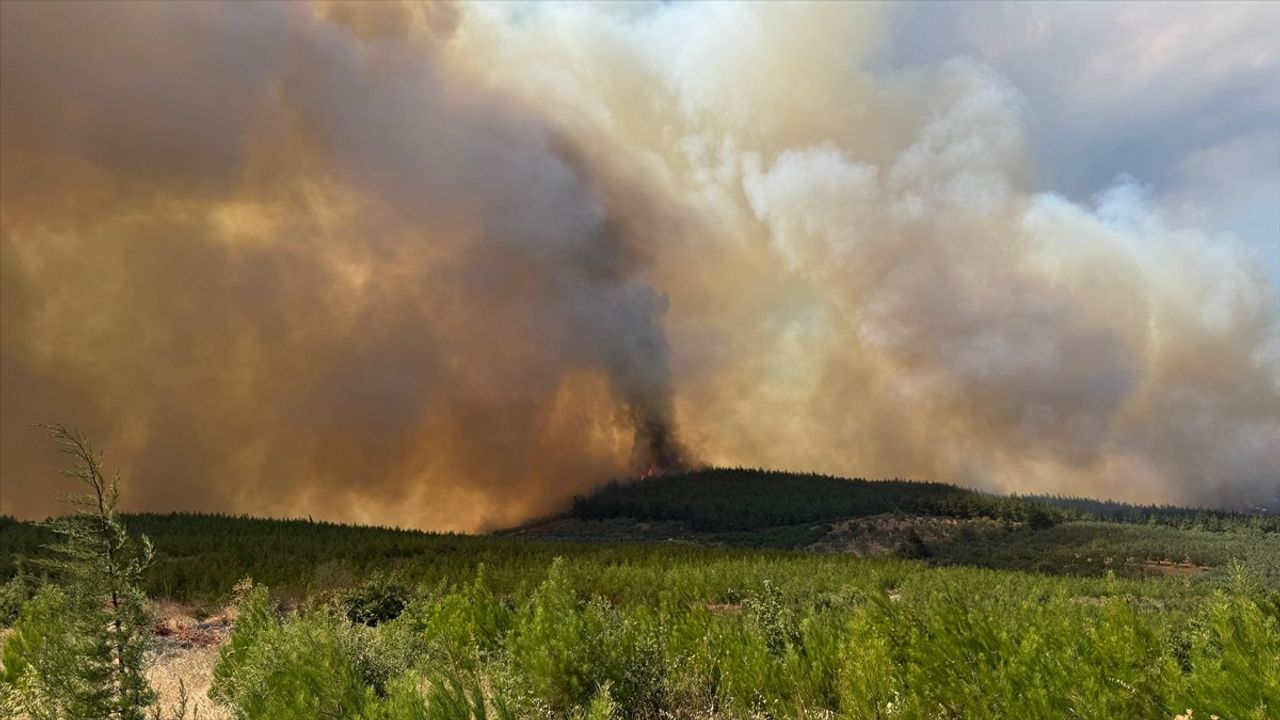 Bursa Osmangazi'de orman yangınına müdahale sürüyor